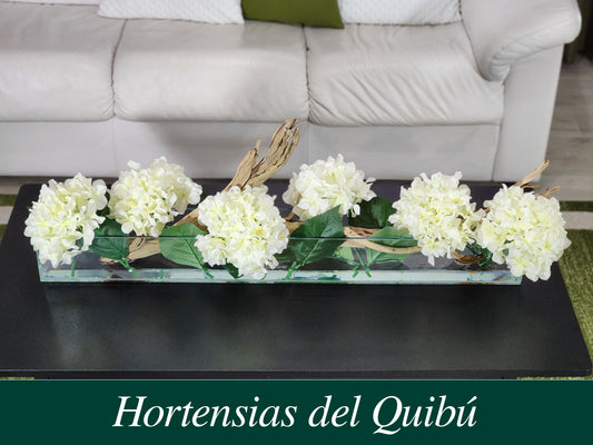 Hortencias del Quibú